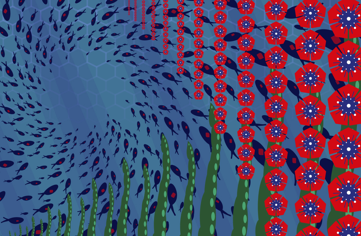 Miranda Bauer, Complex Pattern