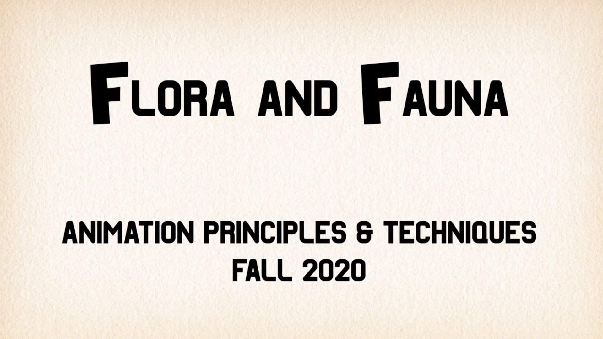 Animation Students, Metamorphosis