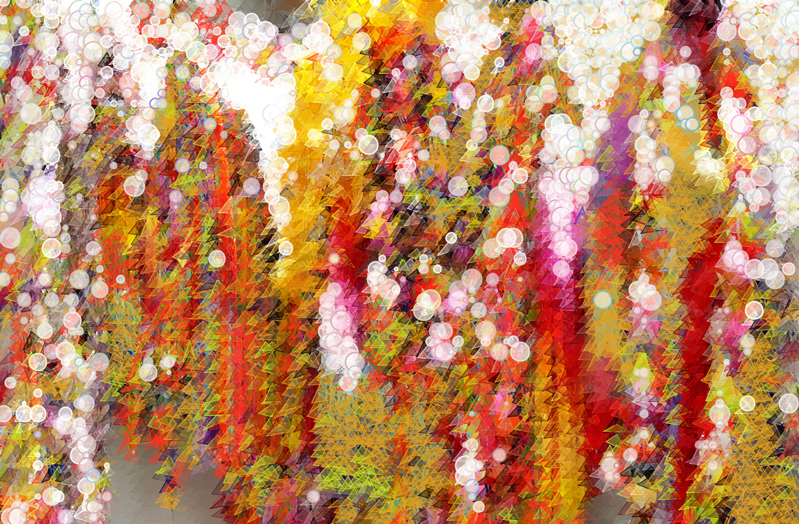 Miranda Bauer, Image Processing