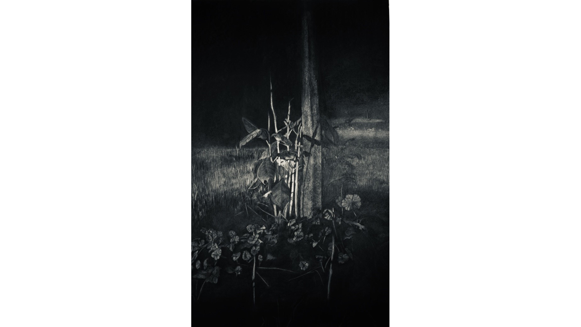 Emma Robinson, Solace