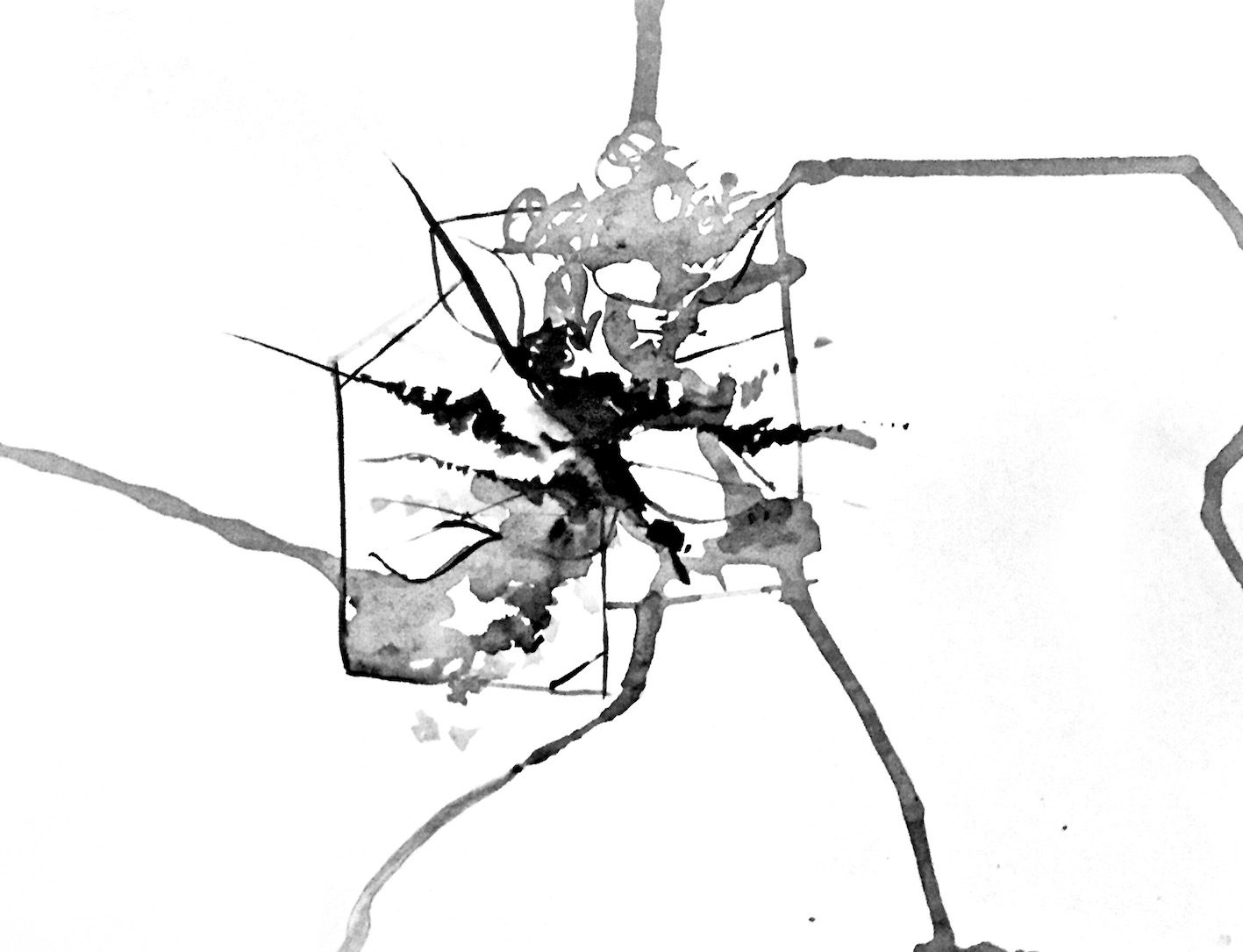 Elizabeth Cox, 2x 2D