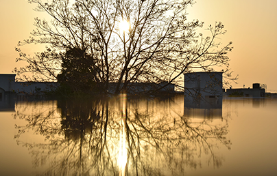 Court Rules in Favor of Plaintiffs in Hurricane Harvey Flooding Claims ahead of Damages Trial