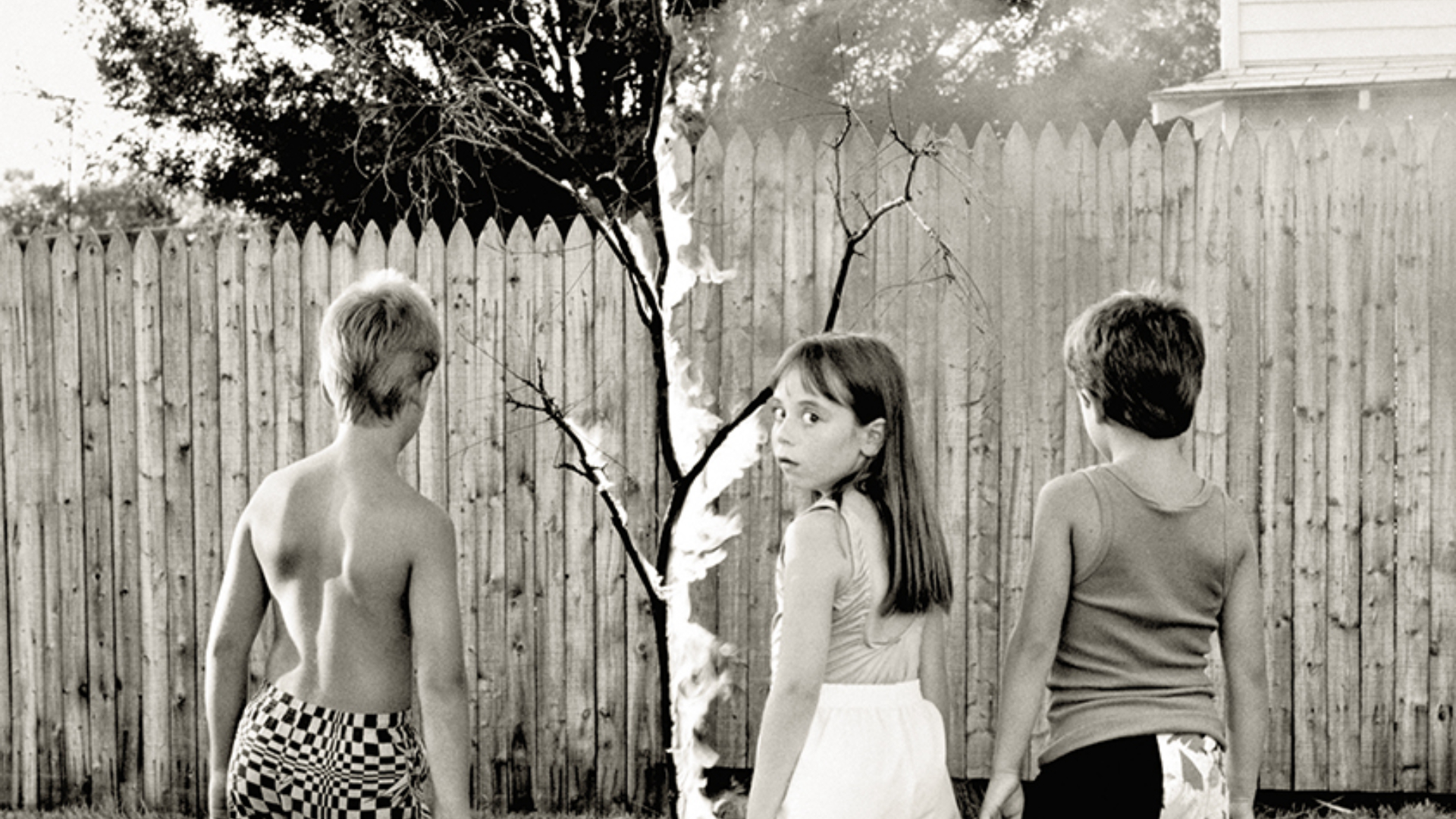 Erin Cluley Gallery