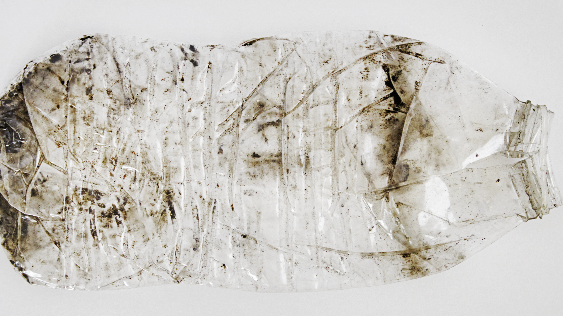 Liliana Bloch Gallery