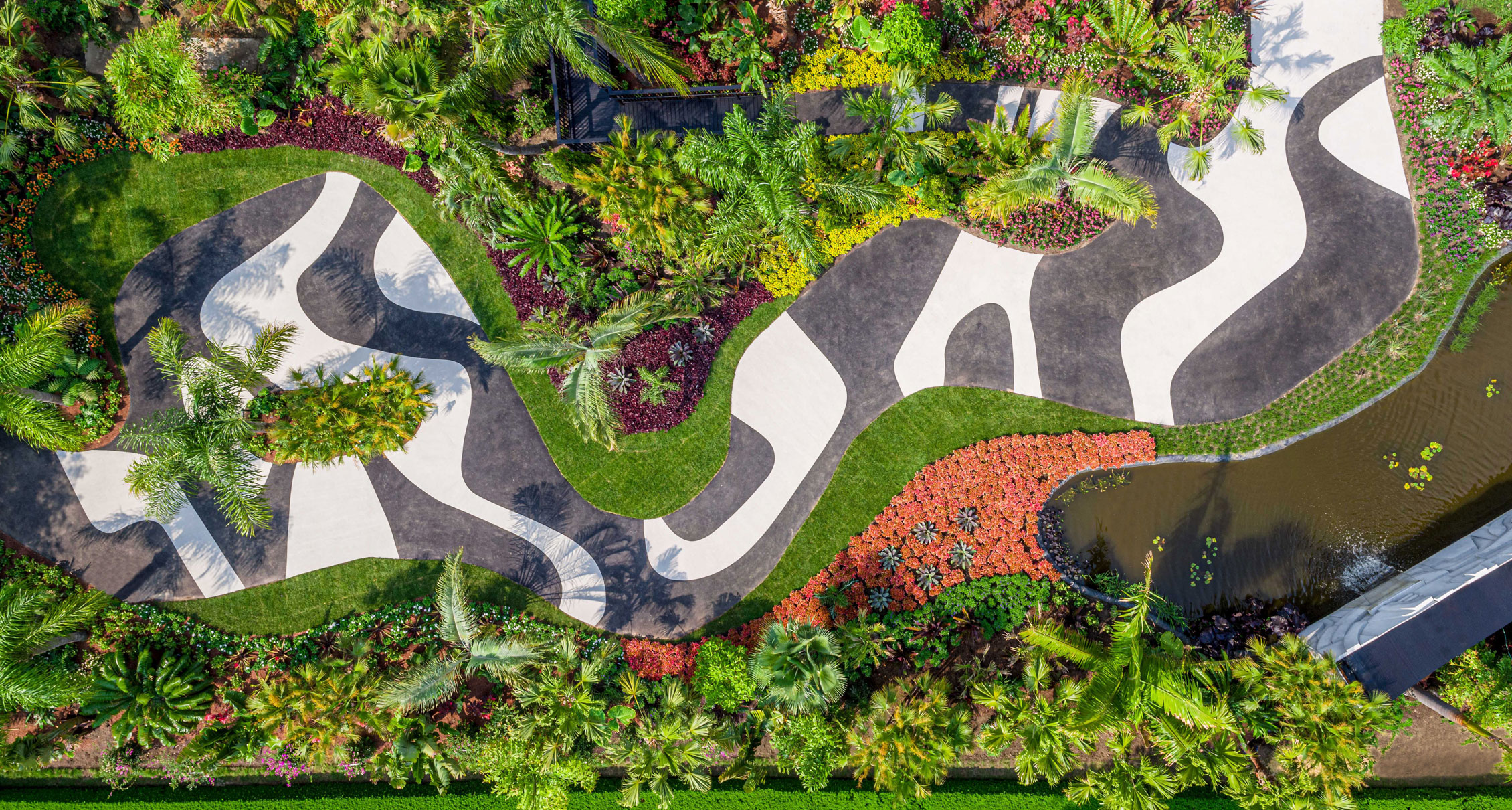 Raymond Jungles, Brazilian Modern: The Living Art of Roberto Burle Marx, 2019. Aerial shot of the Modernist Garden Path. Courtesy of NYBG