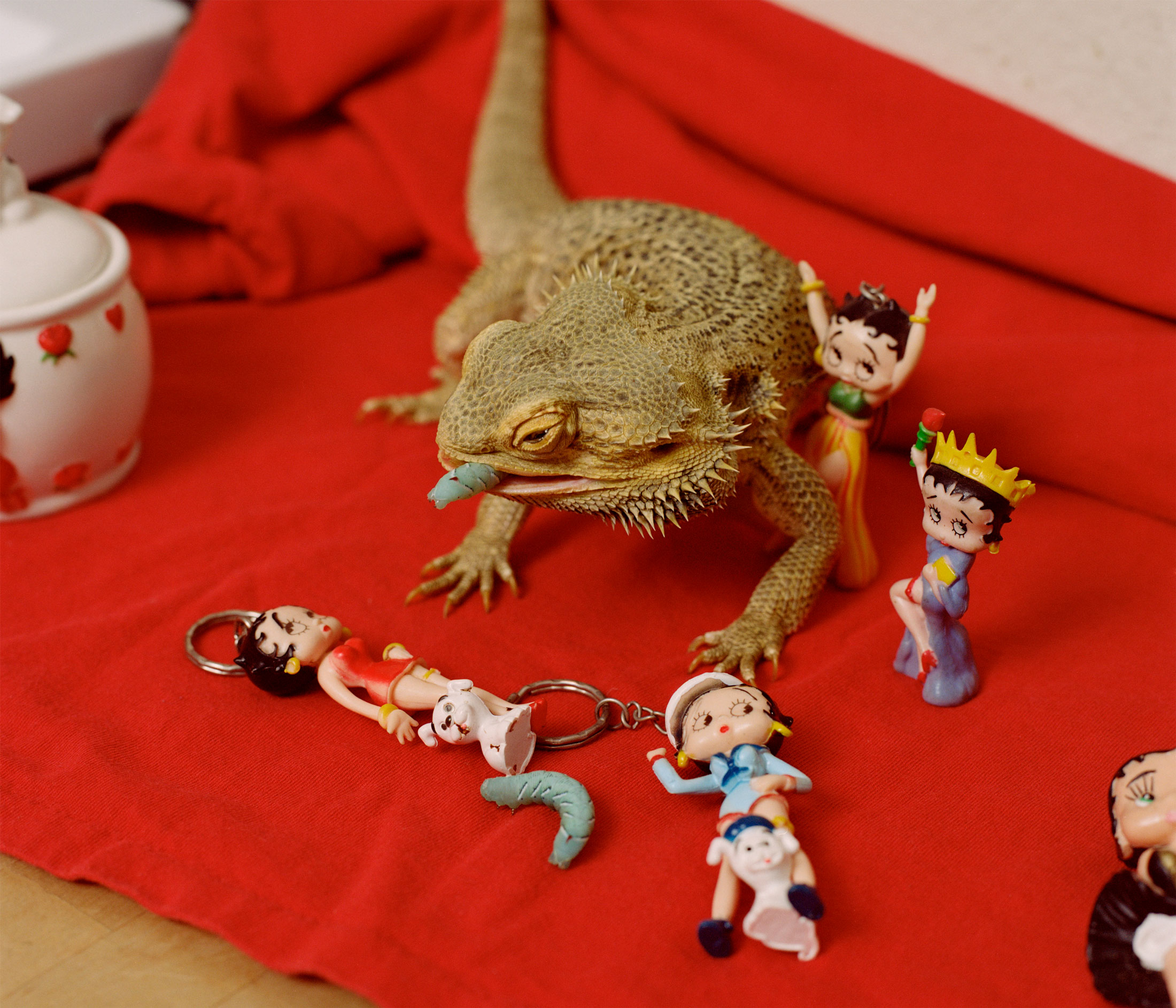 Jrue the bearded dragon conferencing with Betty Boop keychains and figurines over breakfast.