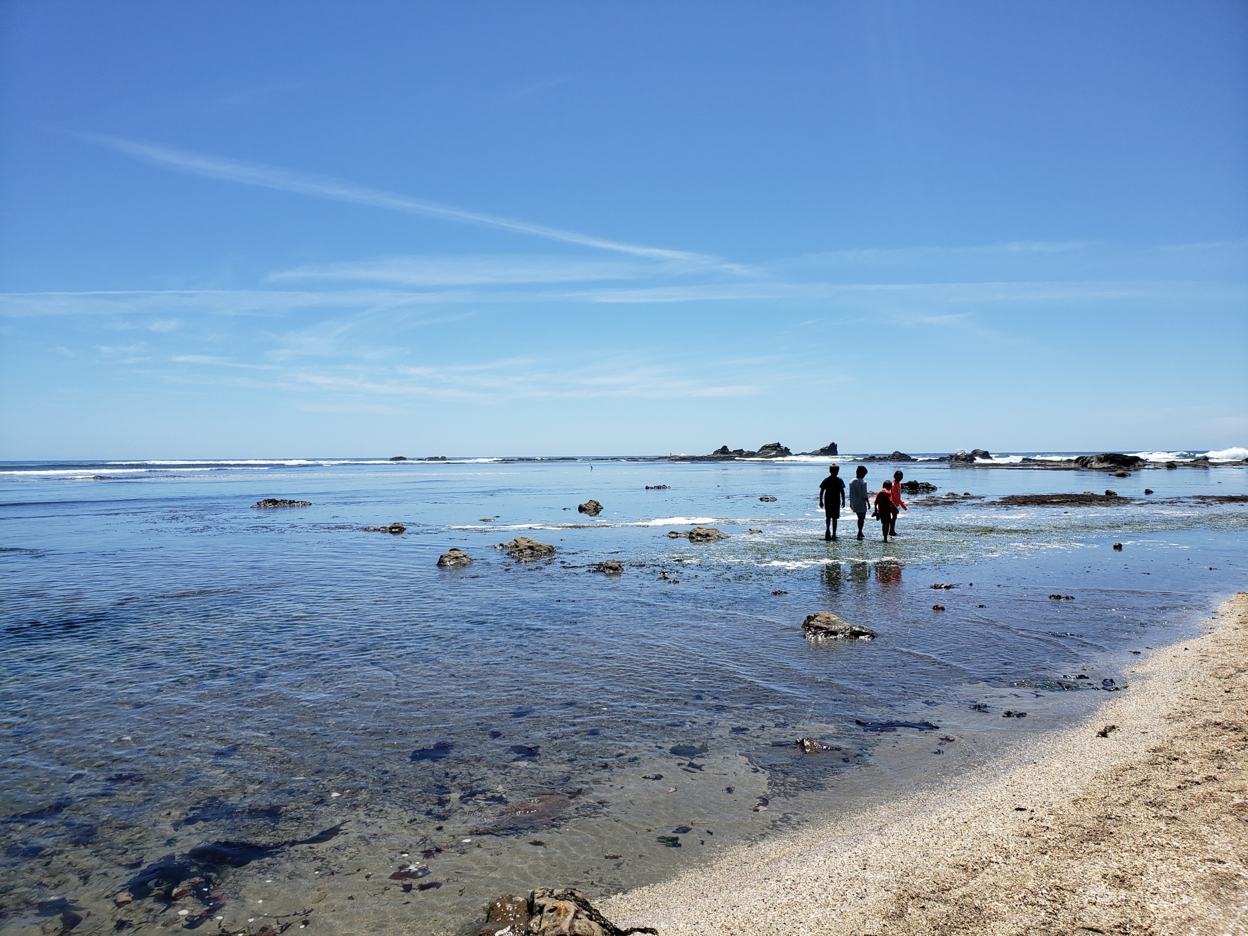 The California coastline. Photo by Elizabeth Fazzare.