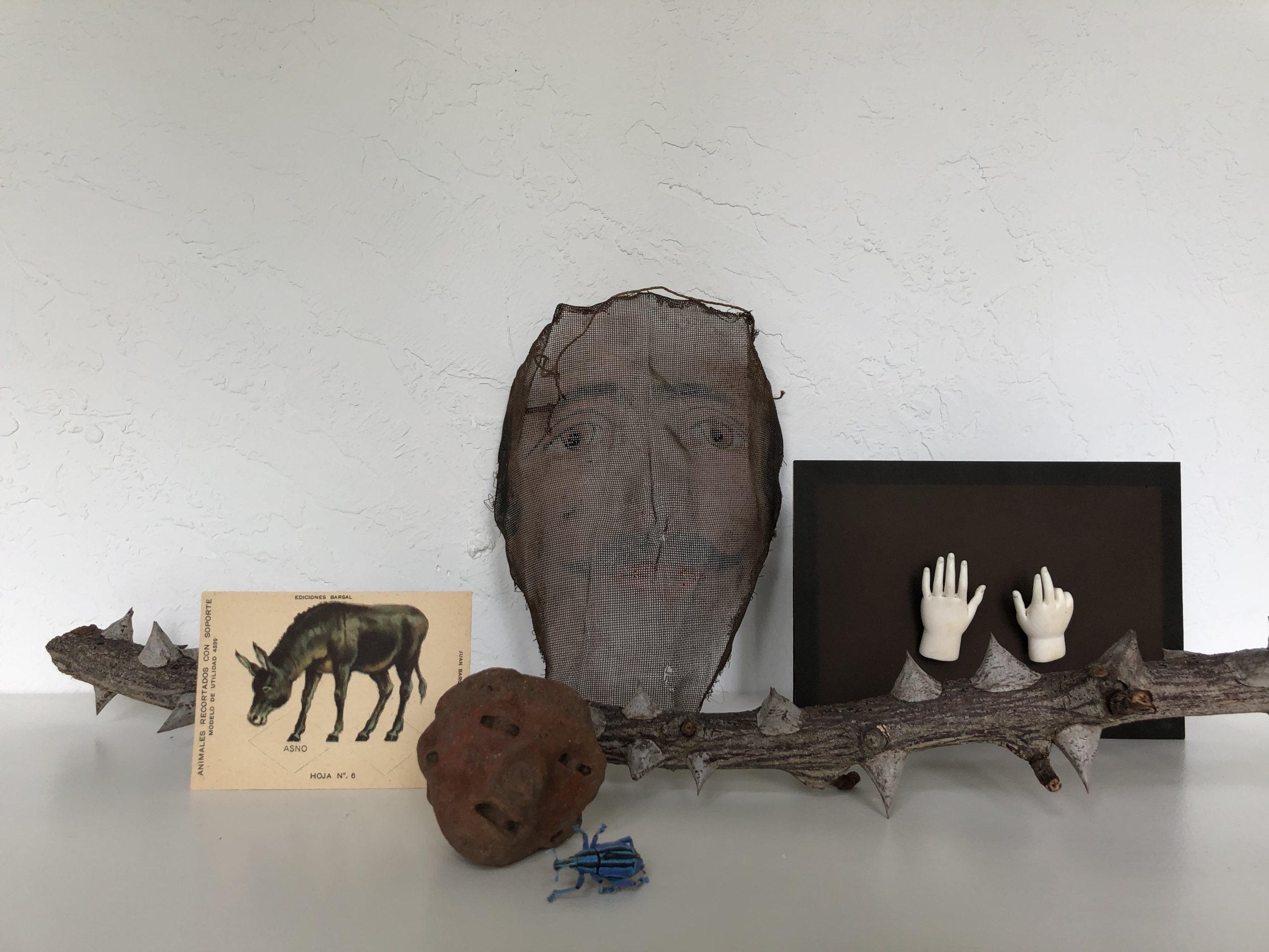 Still life by Adam Charlap Hyman: “I’ve included ivory hands from a saint sculpture, a thorny stick I found outside, a playing card of a donkey, a Pre-Columbian head, a blue beetle, and a mesh mask from the Oddfellows.” 6th April, 2020. New York City, NY.