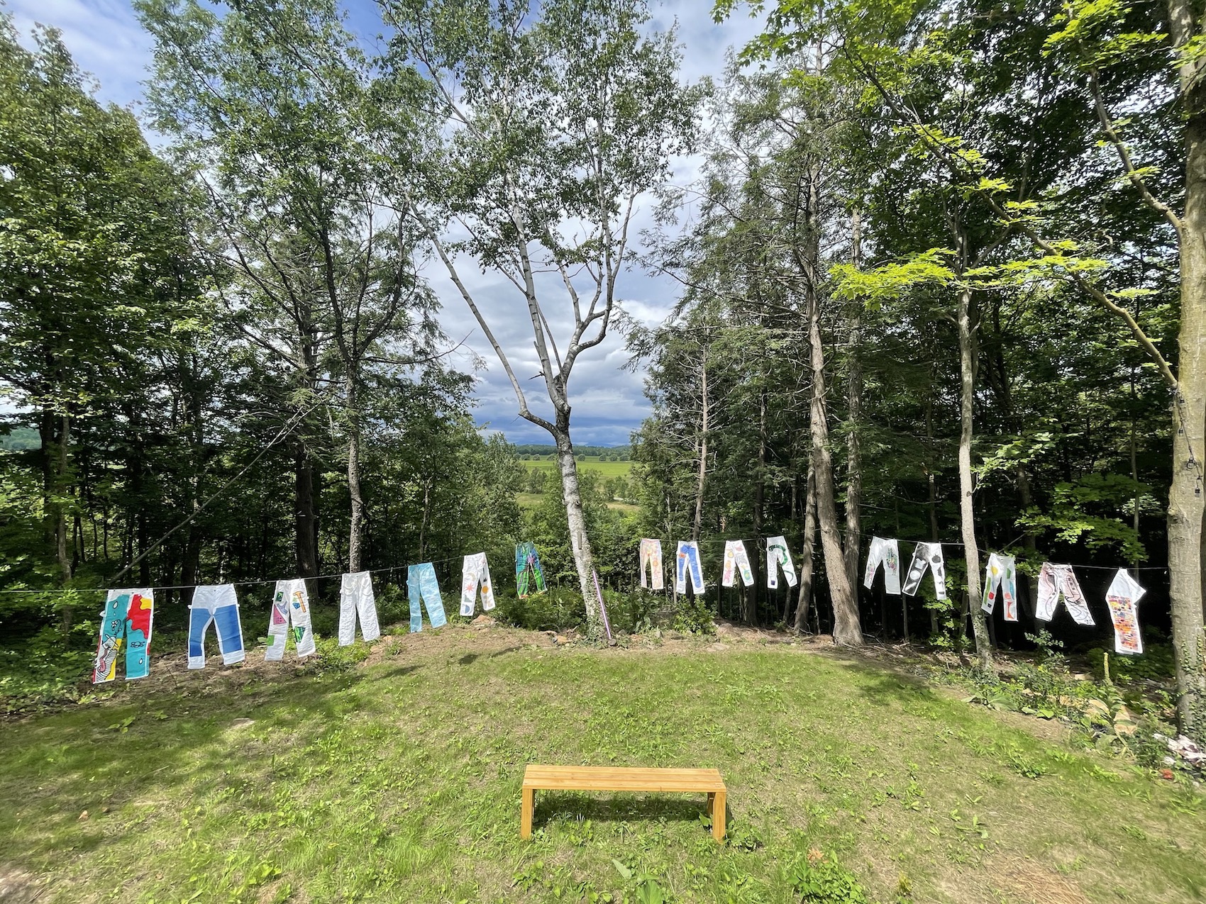 pants decorated individually hanging from long clothesline, with mountain/forrest background