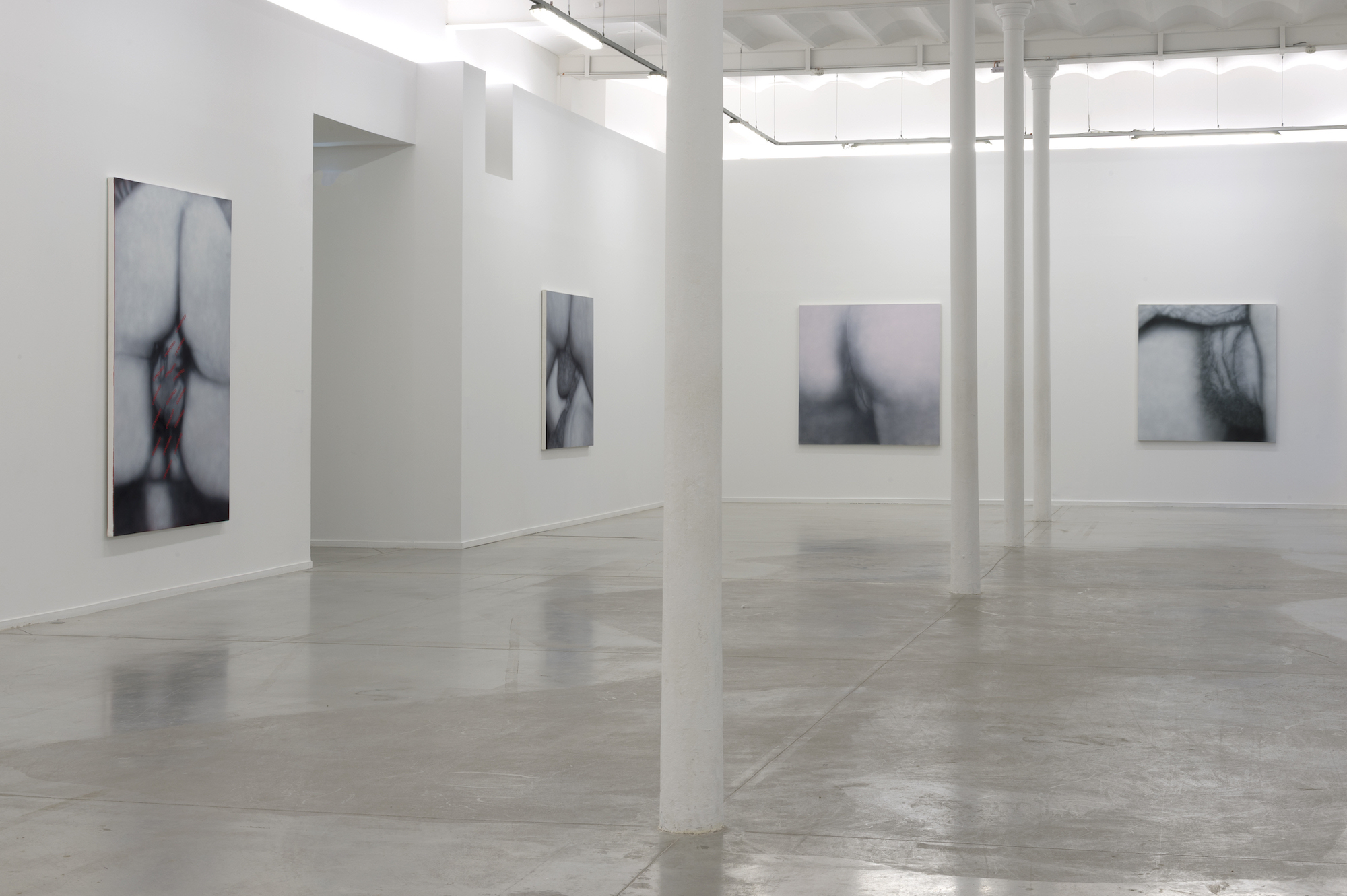 installation view of betty tompkins at moco of 4 photos of black and white up close sexual acts