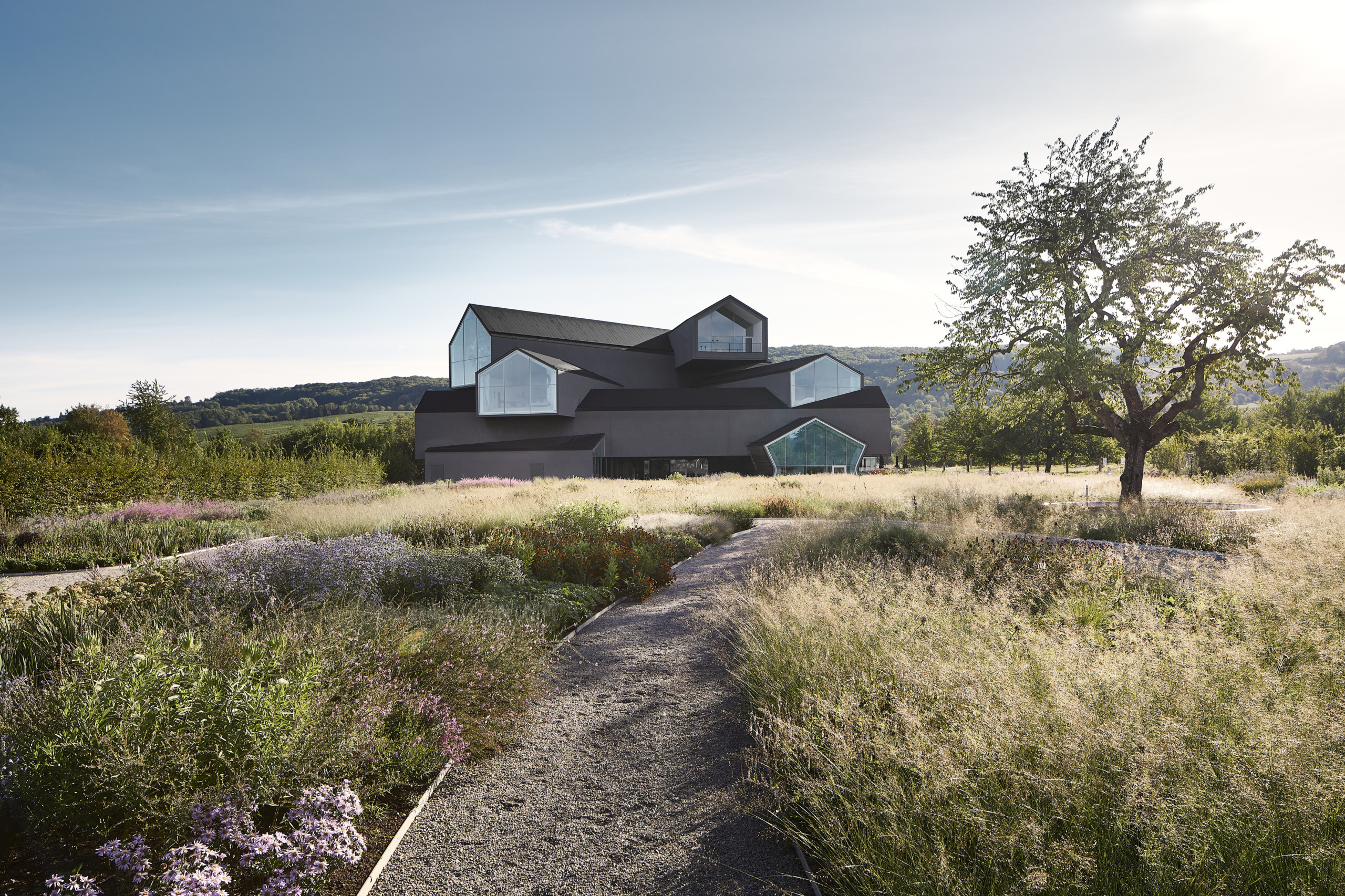 The Oudolf Garten at the Vitra Campus in Weil am Rhein, Germany, was designed by Piet Oudolf in 2020, and fully blooms this September. Photography by Lorenz Cugini © Vitra.