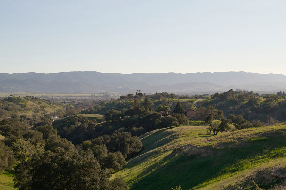 hills and greenery