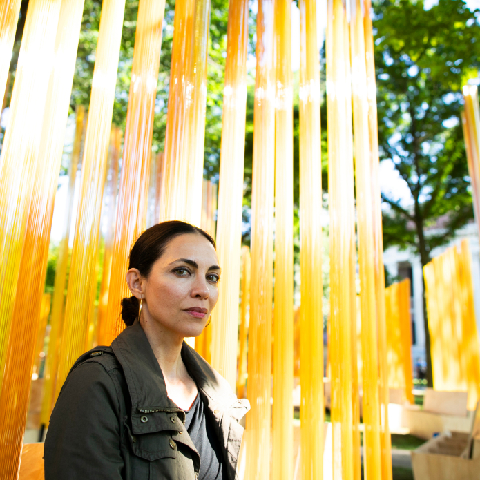 Teresita Fernández Answers our Questions About her latest Public Installation