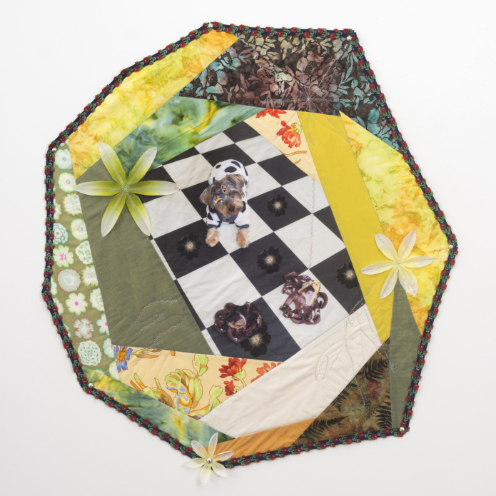 Erin Jane Nerlson's Quilts Tie It All Together