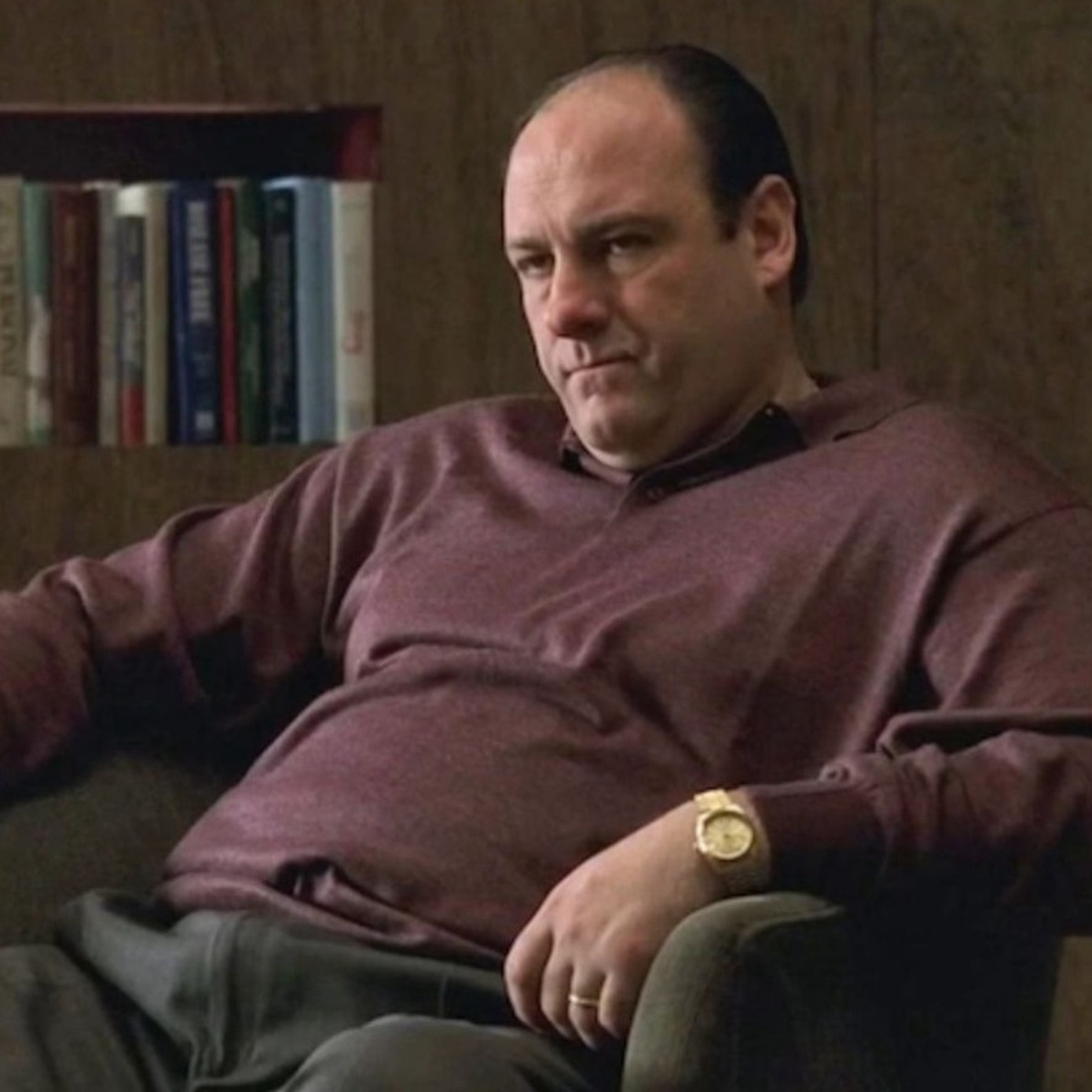 tony-soprano-hbo-therapy