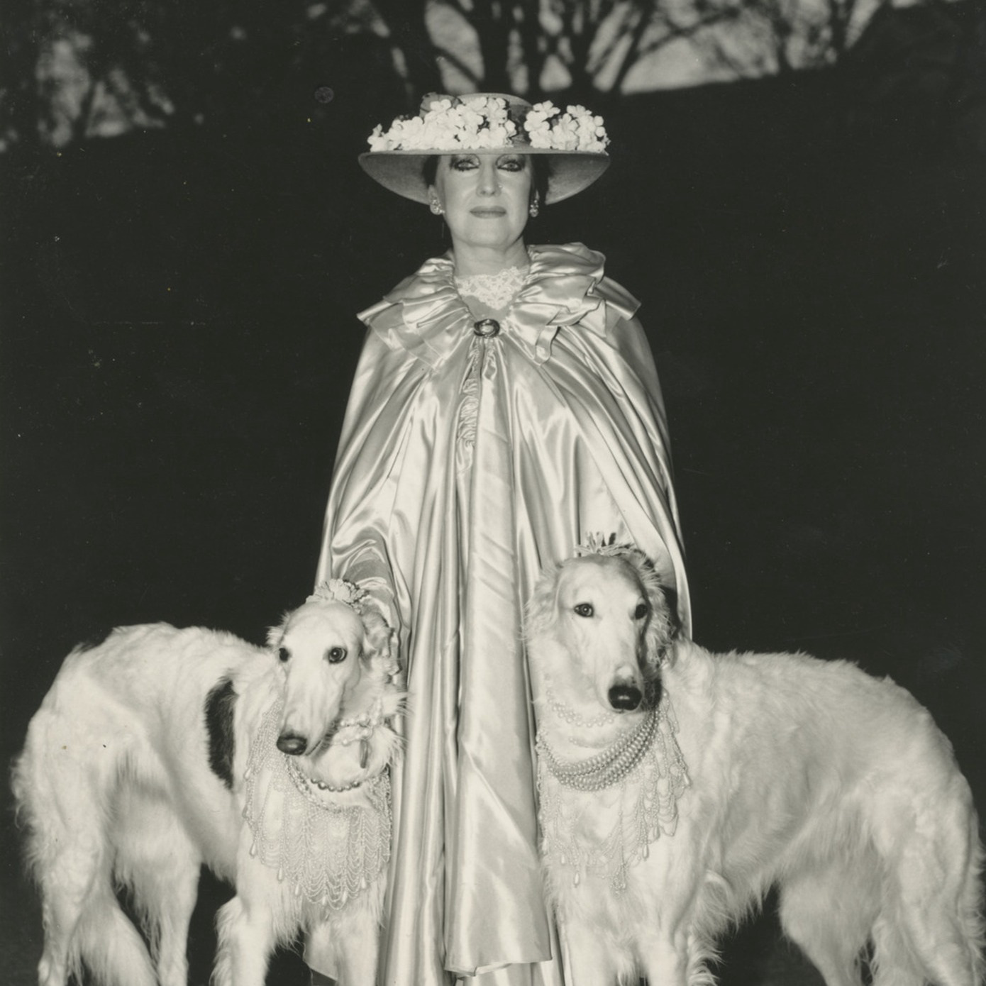 Dietmar-busse-lady-walking-her-dogs-in-central-park