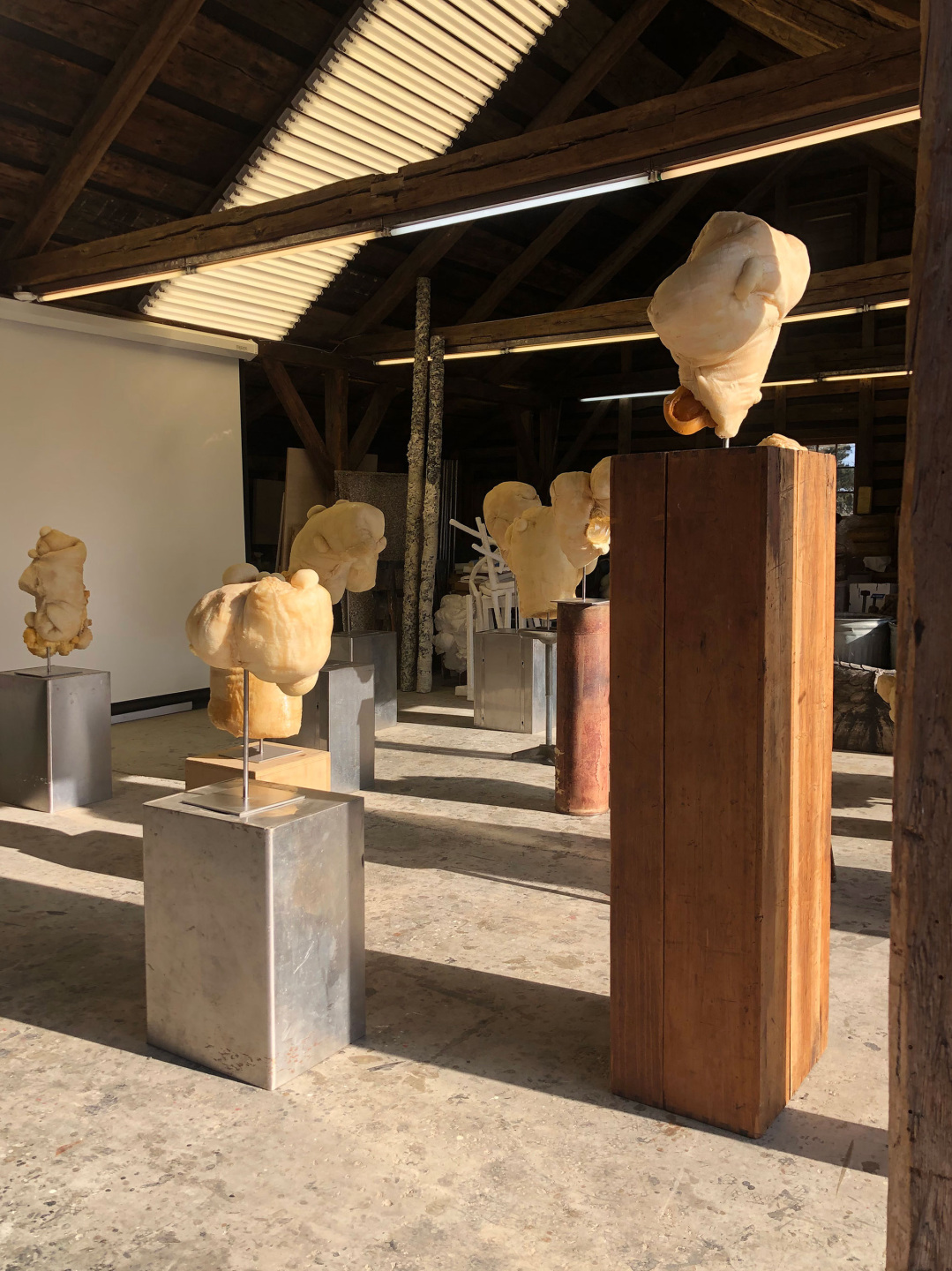 sculptures dislayed in studio