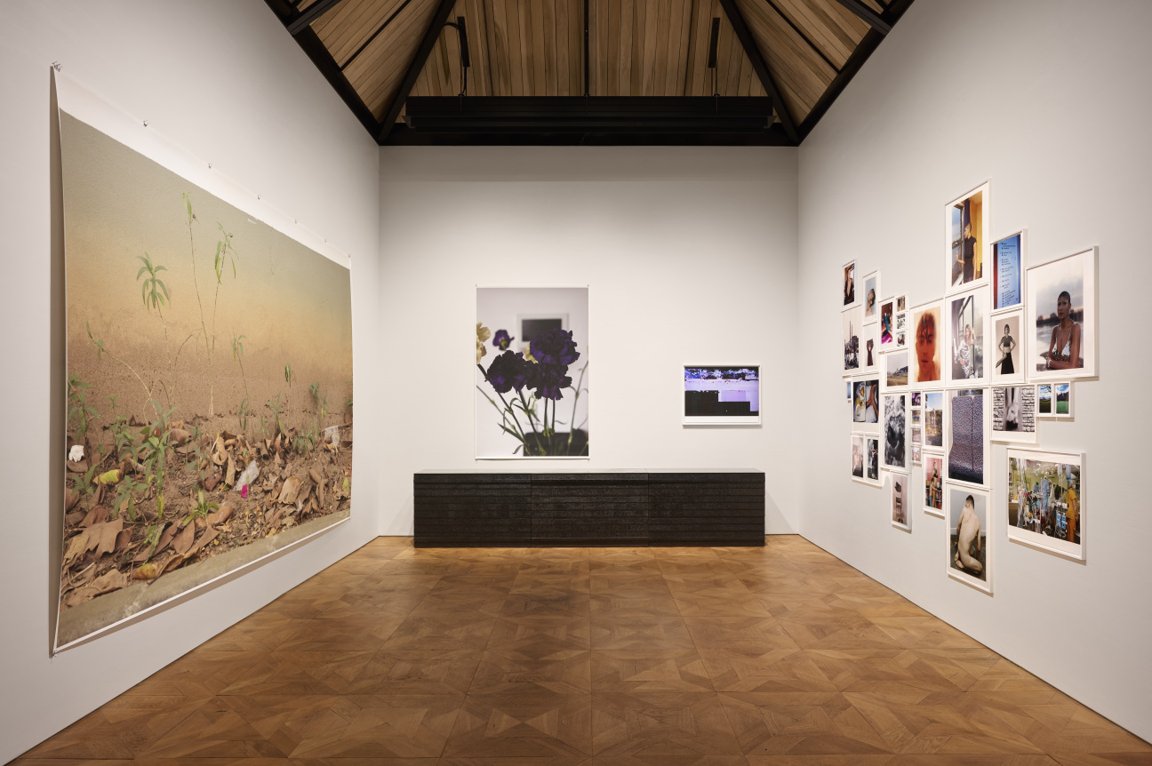 wolfgang-tillmans-peter-marino-foundation