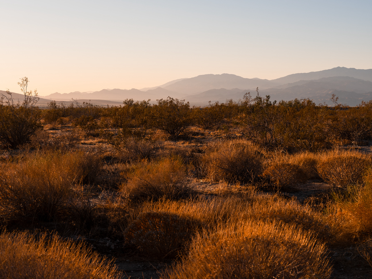 Desert-X-Coachella-Valley-Landscape