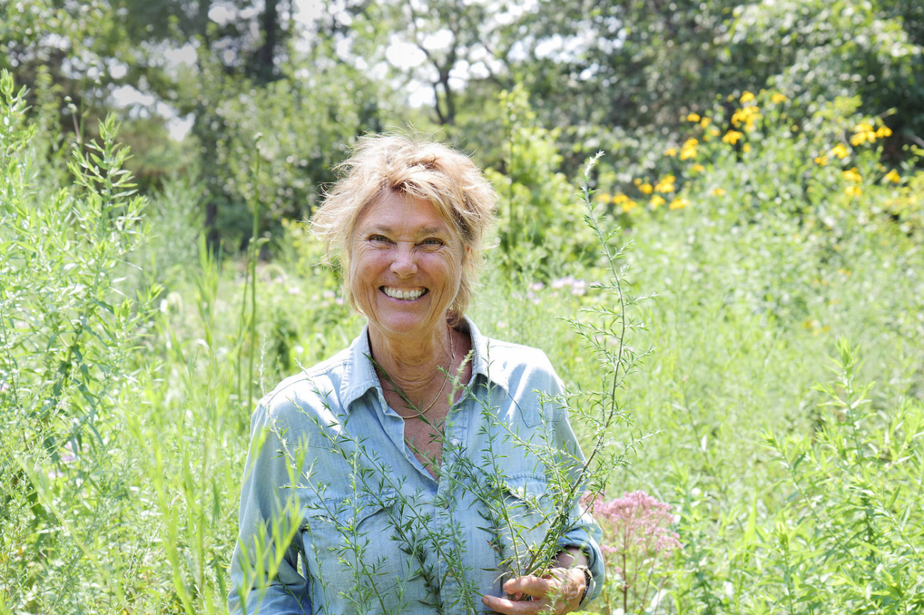 edwina-von-gal-landscape-hamptons