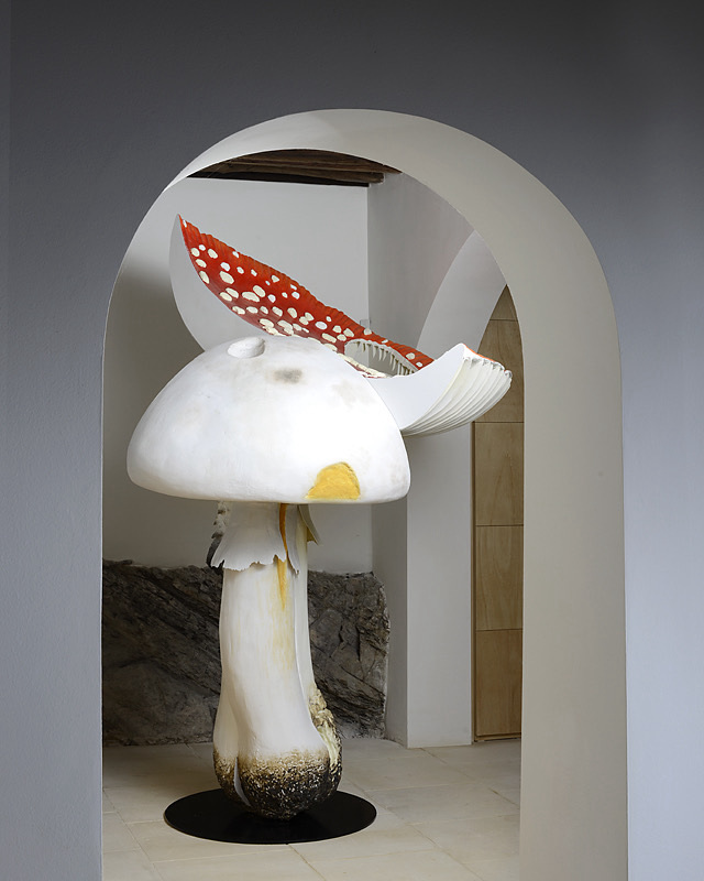 suzanne-syz-art-collector