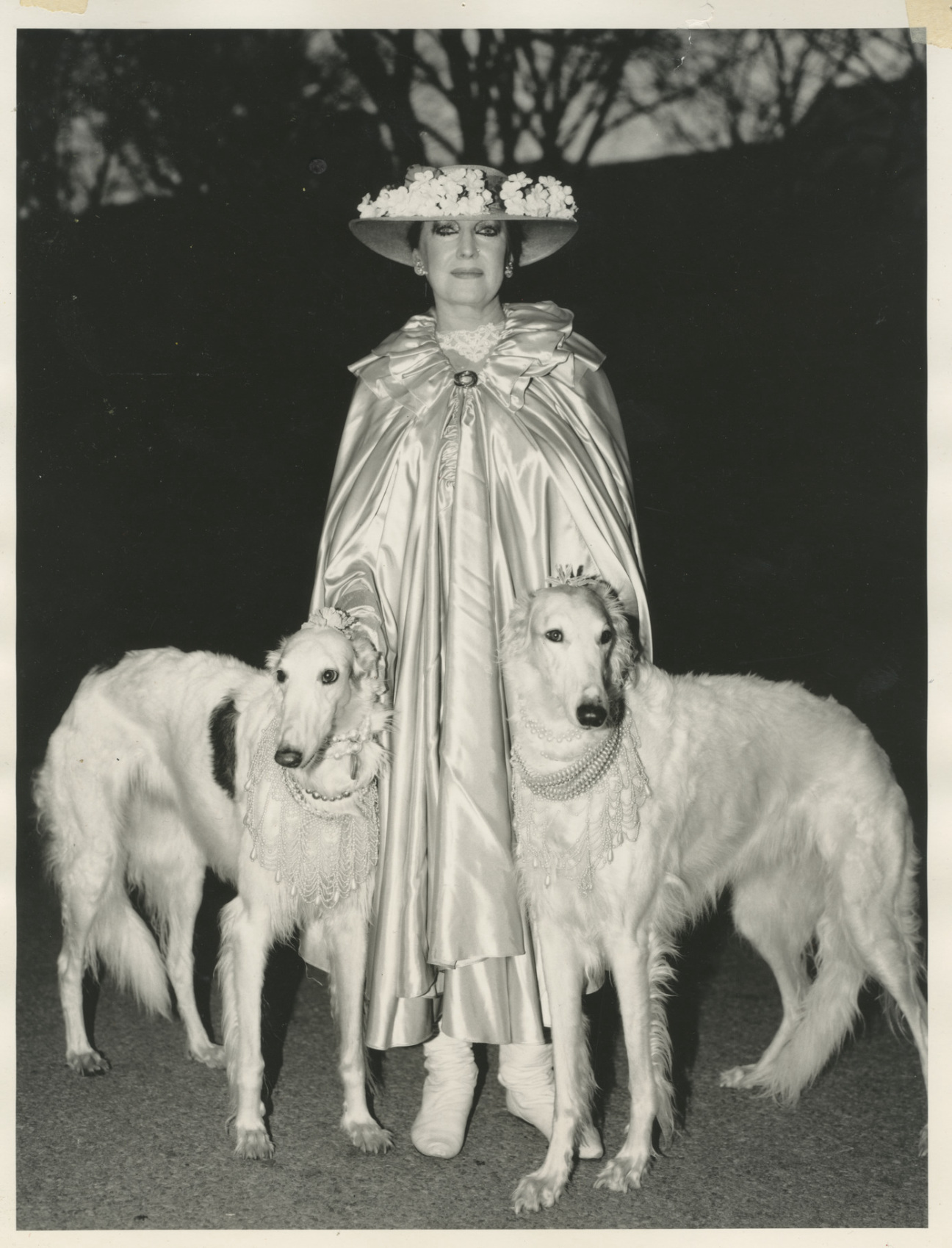 Dietmar-busse-lady-walking-her-dogs-in-central-park