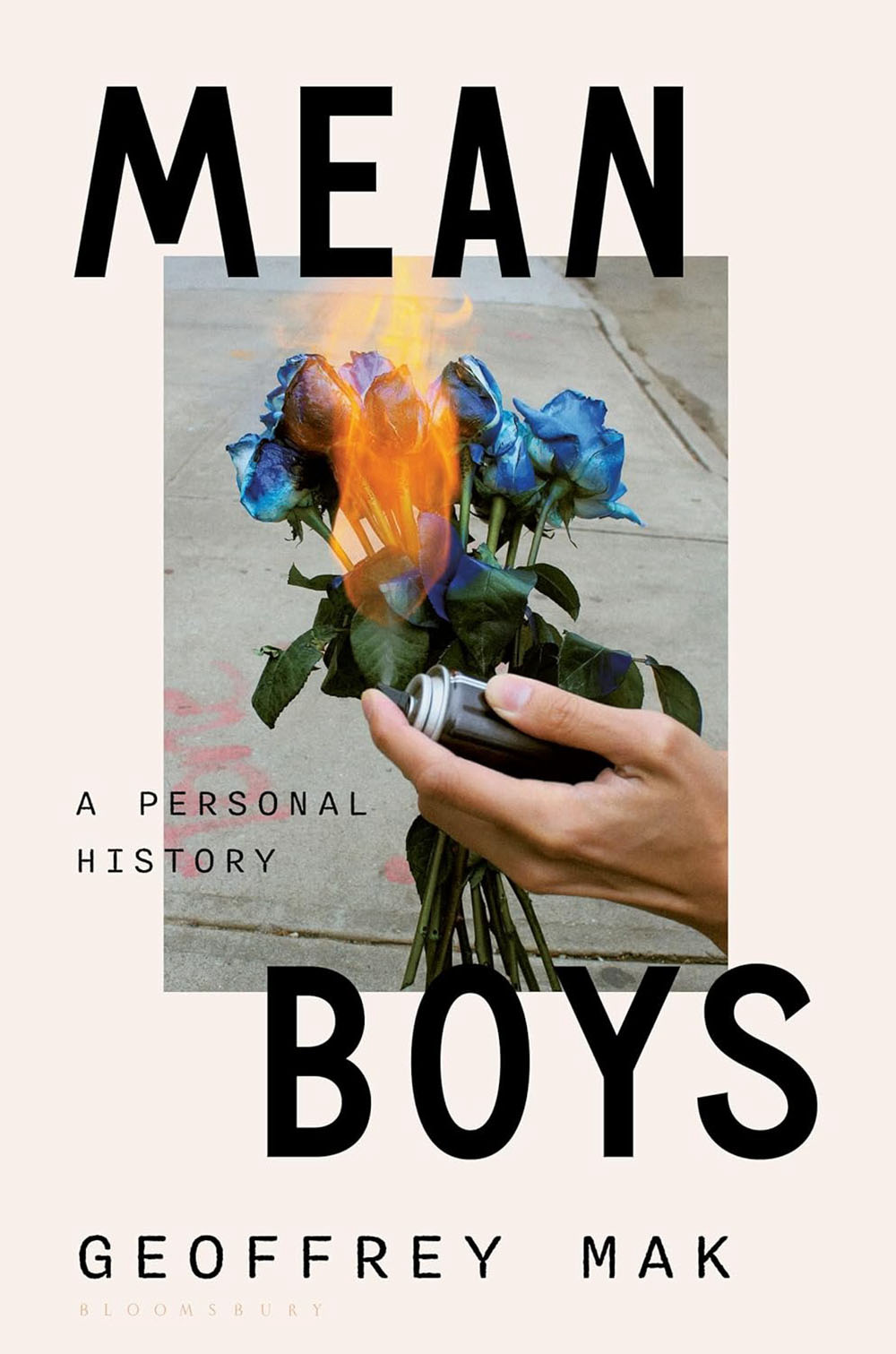 mean-boys-book