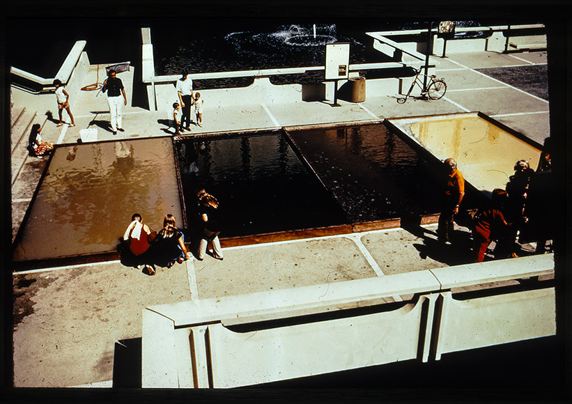 shrimp-farm-helen-newton-harrison