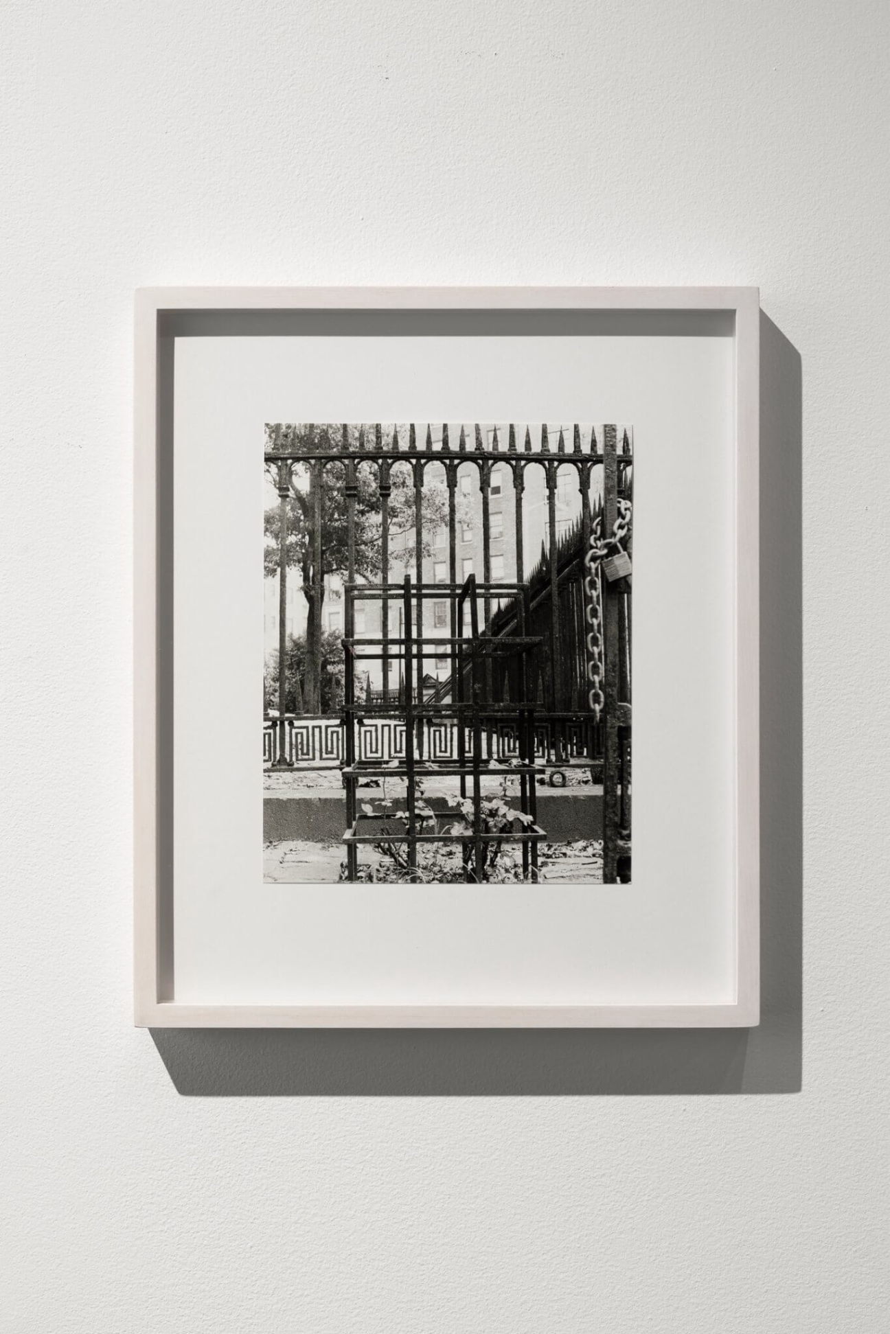 gordon-matta-clark-rosebush