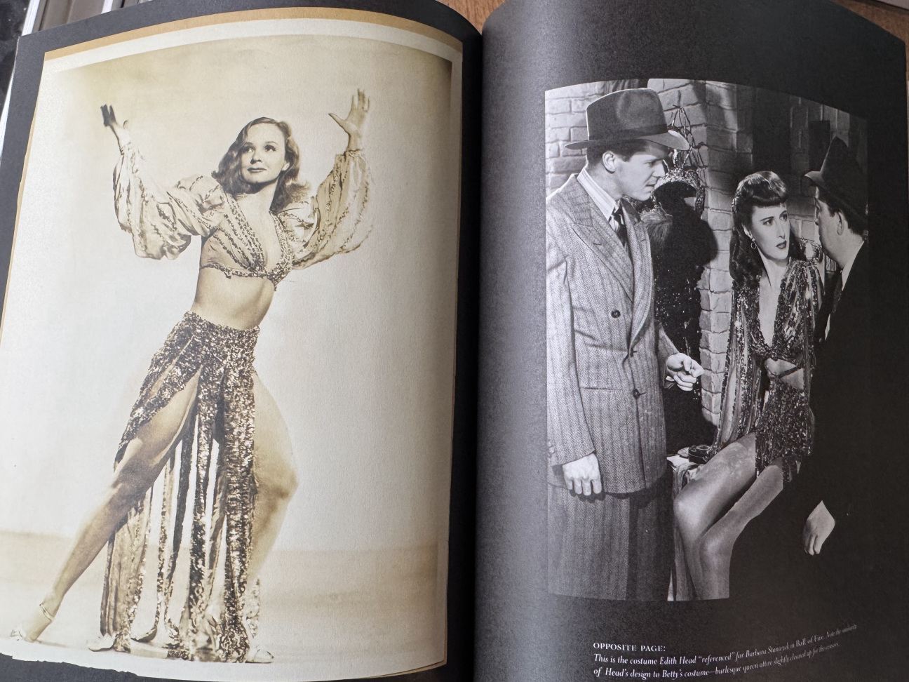Artist-Liz-Goldwyn-Book