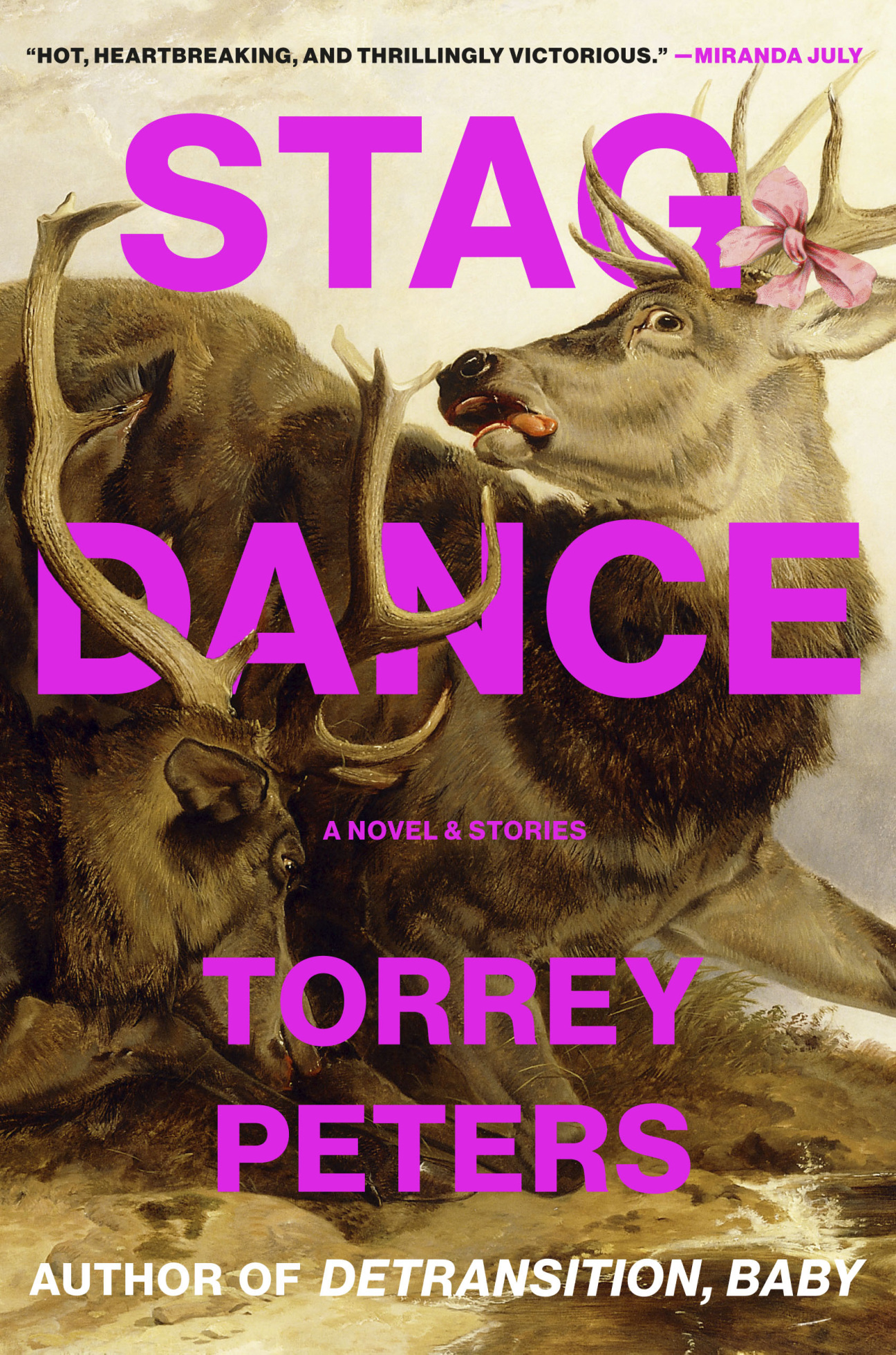 stag-dance-book