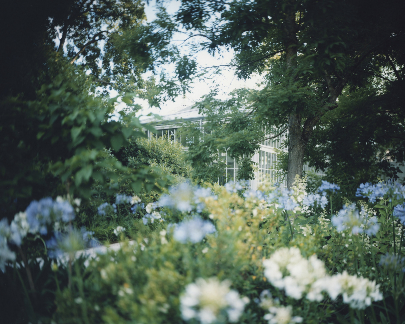 venice-travel-gardens