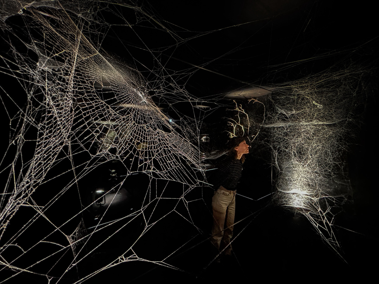 Tomás-saraceno-artist