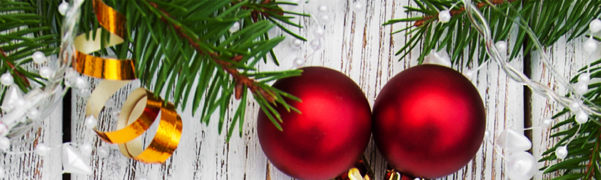 Save the Date for the Arlington Rattikin Christmas Party