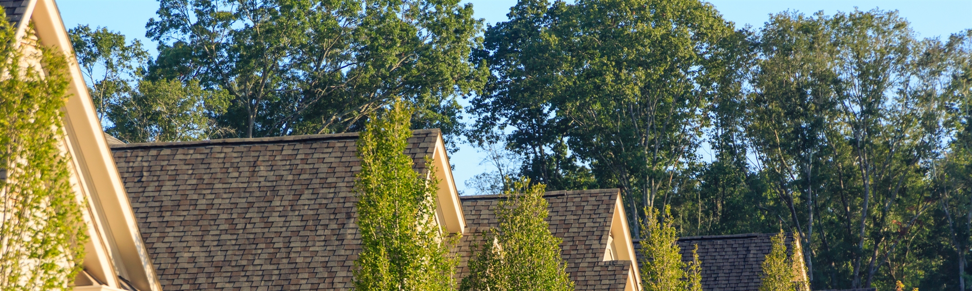 Don't Mess with Texas... Property Taxes and Fair Housing: A Discussion with Real Estate Professionals