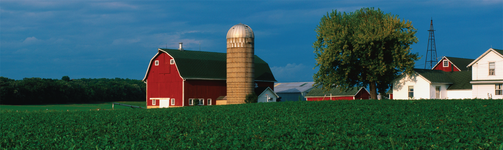Completing The TREC Farm And Ranch Contract