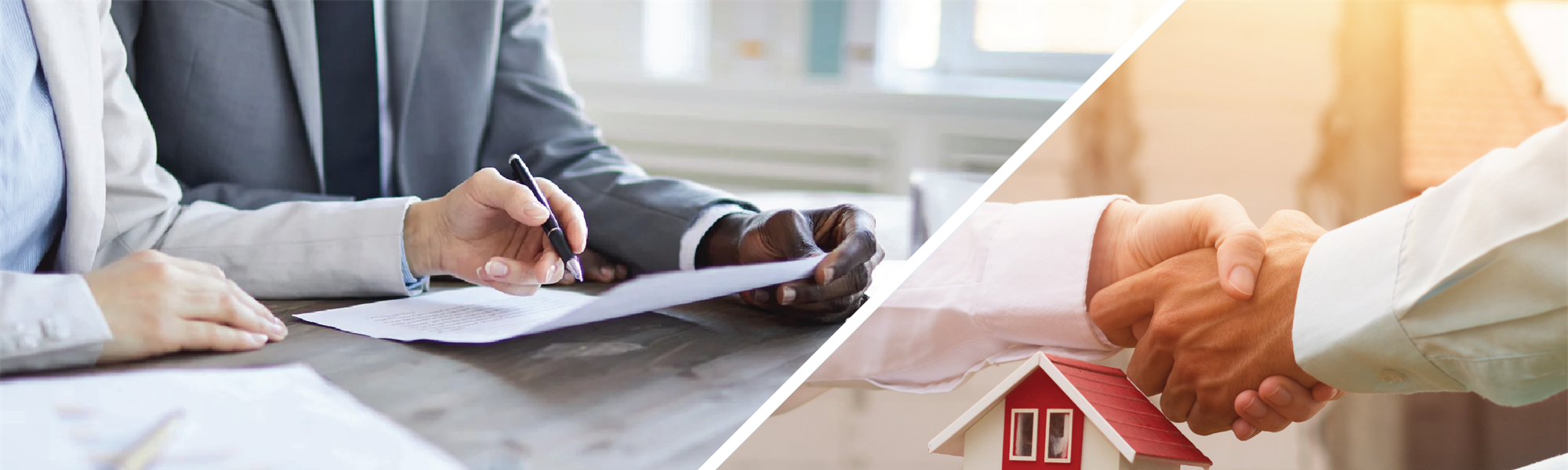 Representing LLCs, Corporations and Other Business Entities and Trusts